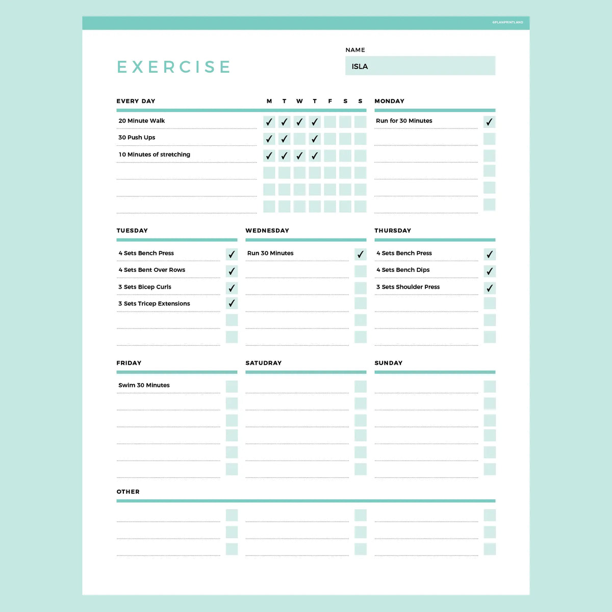 Editable Workout Planner Template Instant Download Fillable PDF A4 Editable Workout Planner Template Instant Download Fillable PDF A4