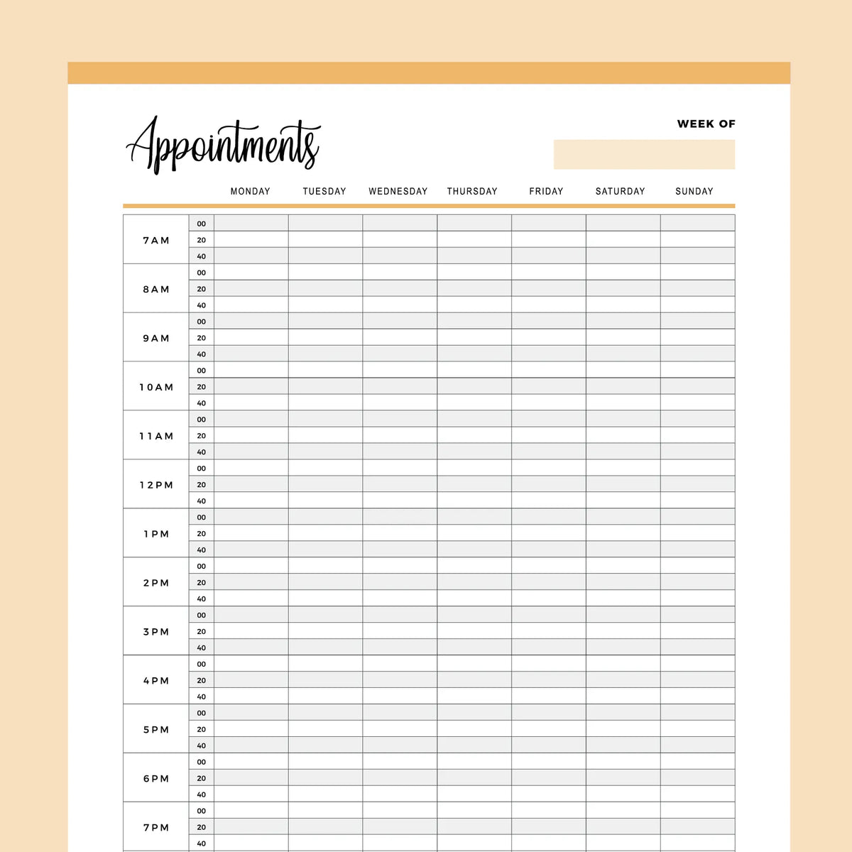 Printable Appointment Book With 20 Minute Slots Instant Download PDF Printable Appointment Book With 20 Minute Slots Instant Download PDF