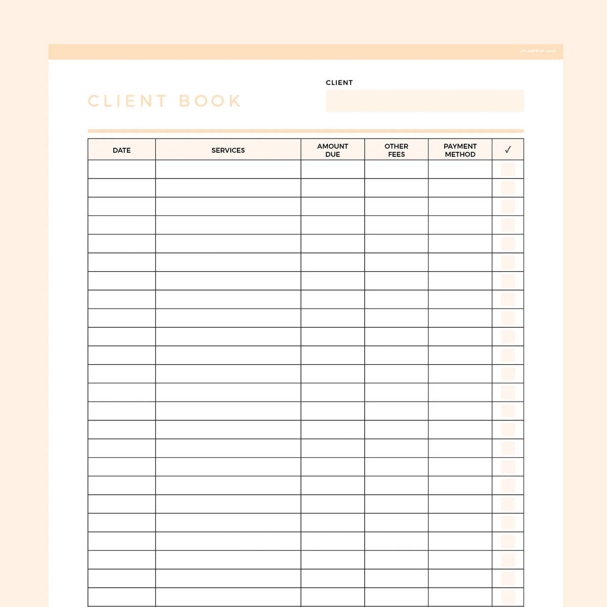 Client Book Template Editable | Instant Download Fillable PDF | A4 and ...
