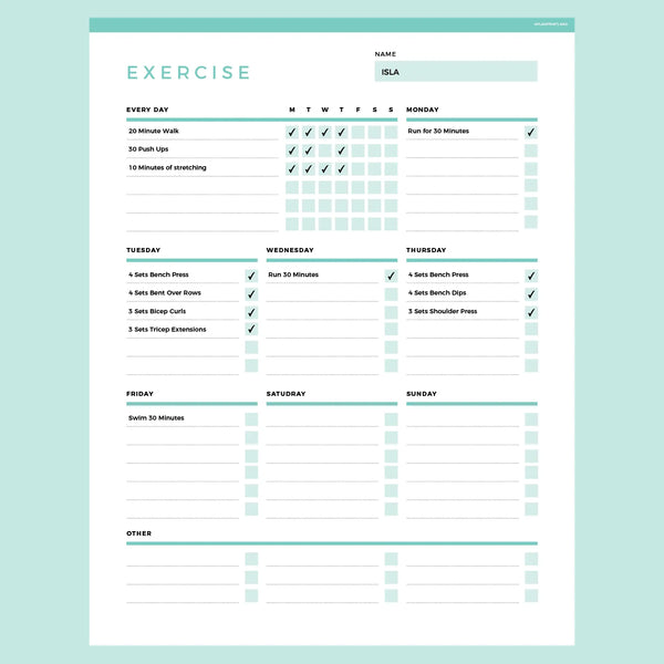 Editable Workout Planner Template