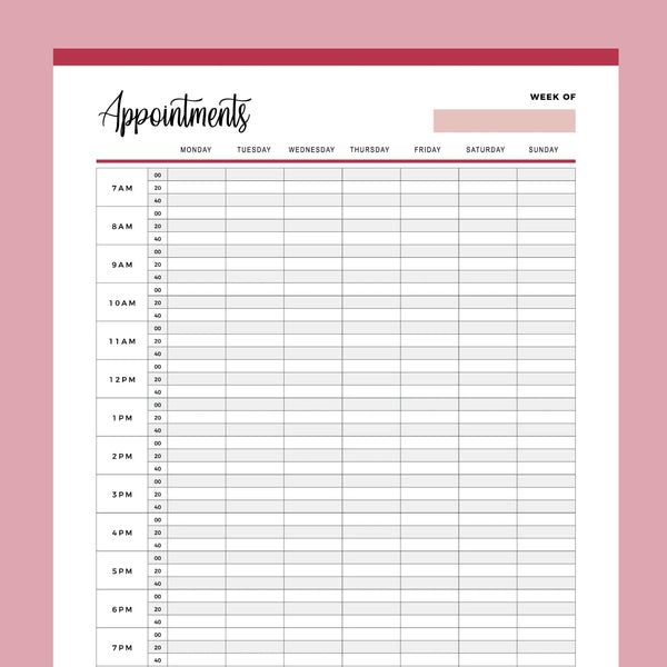 Printable Appointment Book With 20 Minute Slots | Instant Download PDF | A4 and US Letter – Plan Print Land printable-appointment-book-with-20-minute-slots-instant-download-pdf-a4-and-us-letter-plan-print-land